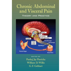Chronic Abdominal and Visceral Pain: Theory and Practice