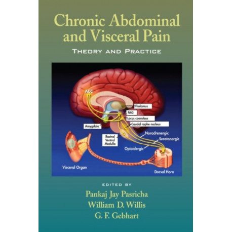 Chronic Abdominal and Visceral Pain: Theory and Practice