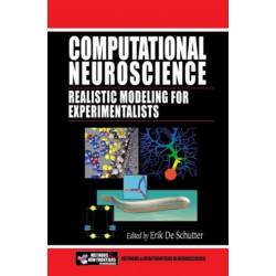 Computational Neuroscience: Realistic Modeling for Experimentalists