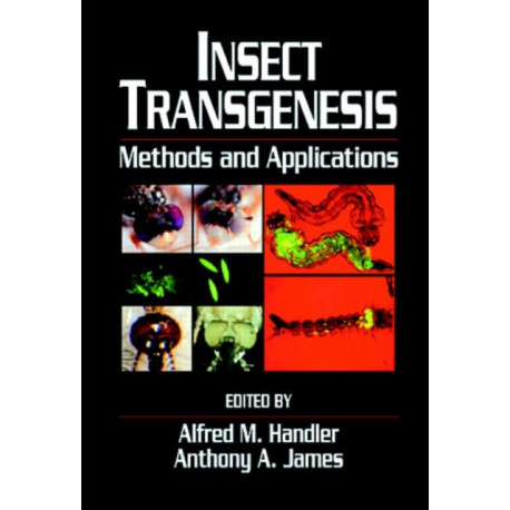 Insect Transgenesis: Methods and Applications