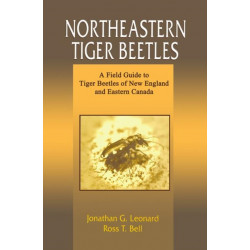 Northeastern Tiger Beetles: A Field Guide to Tiger Beetles of New England and Eastern Canada