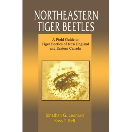 Northeastern Tiger Beetles: A Field Guide to Tiger Beetles of New England and Eastern Canada