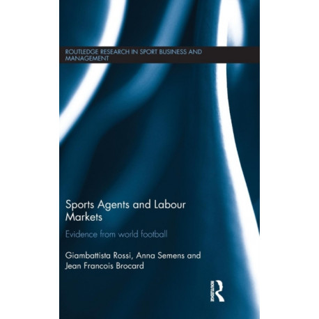 Sports Agents and Labour Markets: Evidence from World Football