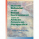 Human Behavior in the Social Environment from an African American Perspective