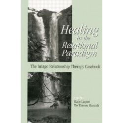 Healing in the Relational Paradigm: The Imago Relationship Therapy Casebook