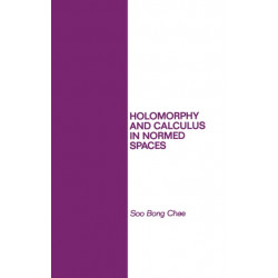 Holomorphy and Calculus in Normed SPates