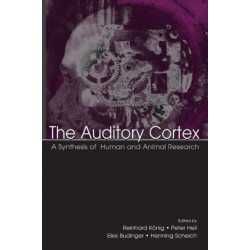 The Auditory Cortex: A Synthesis of Human and Animal Research