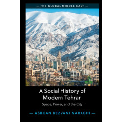 A Social History of Modern Tehran: Space, Power, and the City