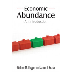Economic Abundance: An Introduction