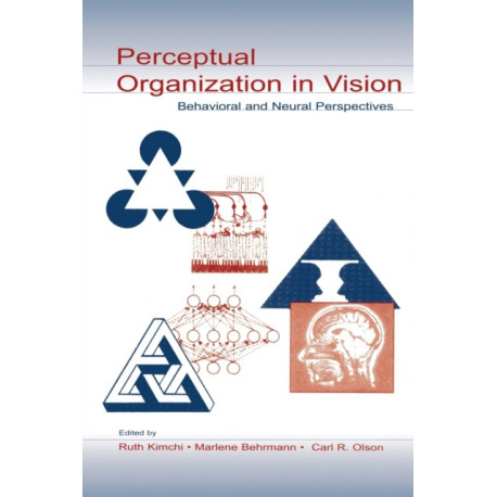 Perceptual Organization in Vision: Behavioral and Neural Perspectives