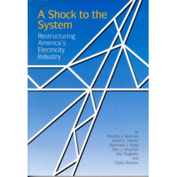 A Shock to the System: Restructuring America's Electricity Industry