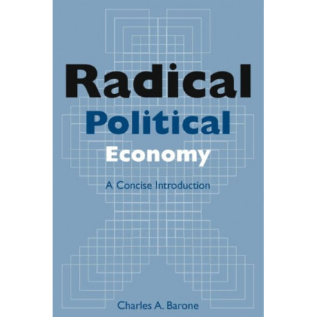 Radical Political Economy: A Concise Introduction: A Concise Introduction