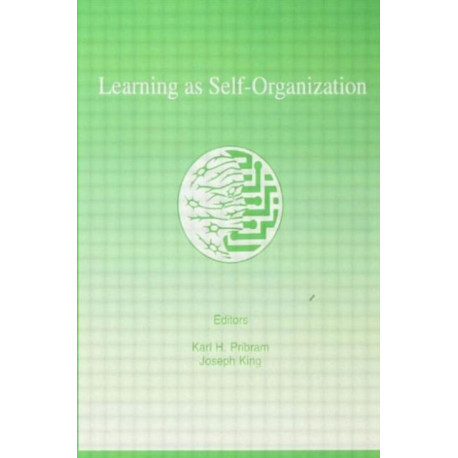 Learning As Self-organization