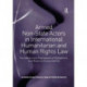 Armed Non-State Actors in International Humanitarian and Human Rights Law: Foundation and Framework of Obligations, and Rules on Accountability