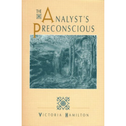 The Analyst's Preconscious