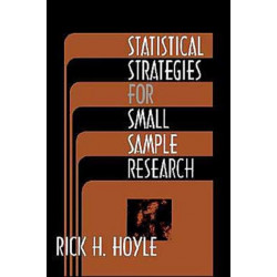 Statistical Strategies for Small Sample Research