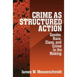 Crime as Structured Action: Gender, Race, Class, and Crime in the Making