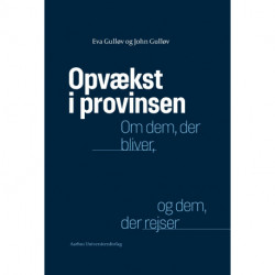 Opvækst i provinsen: Om dem, der bliver, og dem, der rejser