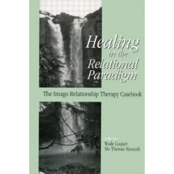 Healing in the Relational Paradigm: The Imago Relationship Therapy Casebook