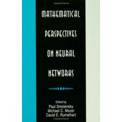 Mathematical Perspectives on Neural Networks