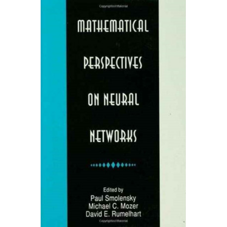 Mathematical Perspectives on Neural Networks
