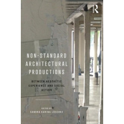Non-Standard Architectural Productions: Between Aesthetic Experience and Social Action