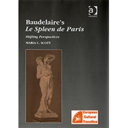 Baudelaire's Le Spleen de Paris: Shifting Perspectives