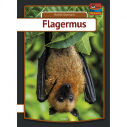 Flagermus