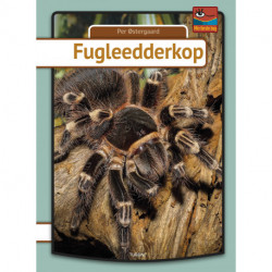 Fugleedderkop