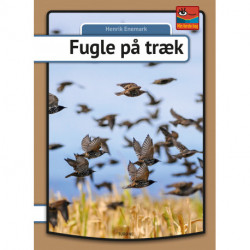 Fugle på træk