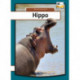 Hippo
