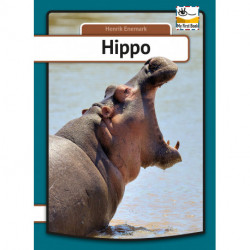 Hippo