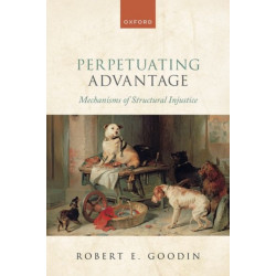 Perpetuating Advantage: Mechanisms of Structural Injustice