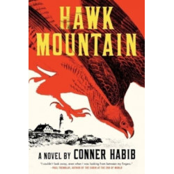 Hawk Mountain - A Novel