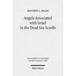 Angels Associated with Israel in the Dead Sea Scrolls: Angelology and Sectarian Identity at Qumran
