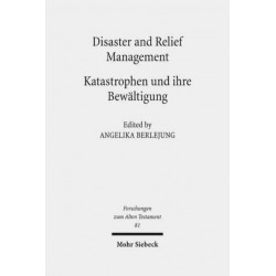 Disaster and Relief Management - Katastrophen und ihre Bewaltigung