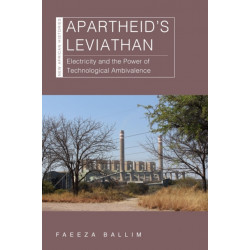 Apartheid's Leviathan: Electricity and the Power of Technological Ambivalence