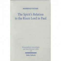 The Spirit's Relation to the Risen Lord in Paul: An Examination of Its Christological Implications