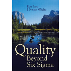 Quality Beyond Six Sigma