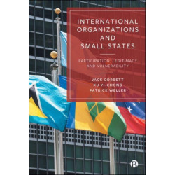 International Organizations and Small States: Participation, Legitimacy and Vulnerability