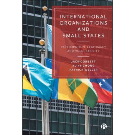 International Organizations and Small States: Participation, Legitimacy and Vulnerability