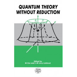Quantum Theory without Reduction,