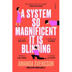 A System So Magnificent It Is Blinding: longlisted for the International Booker Prize