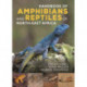Handbook of Amphibians and Reptiles of North-east Africa