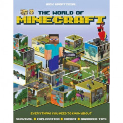 The World of Minecraft
