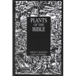 Plants Of The Bible