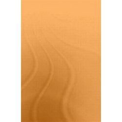 Azerbaijani Dictionary and Phrasebook: Dictionary and Phrasebook