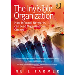 The Invisible Organization: How Informal Networks can Lead Organizational Change