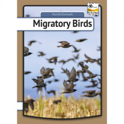 Migratory Birds