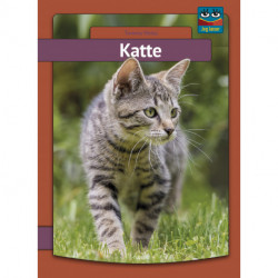Katte